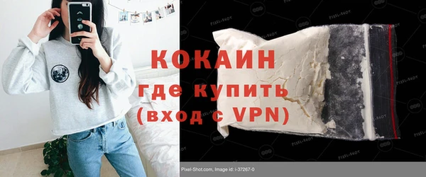молекула духа Богданович