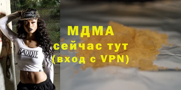 молекула духа Богданович
