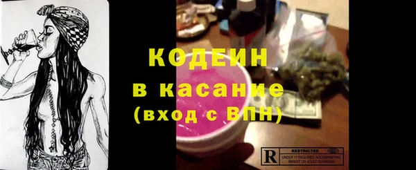 молекула духа Богданович