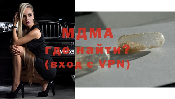 молекула духа Богданович
