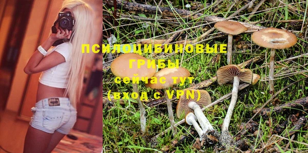 героин Богородицк