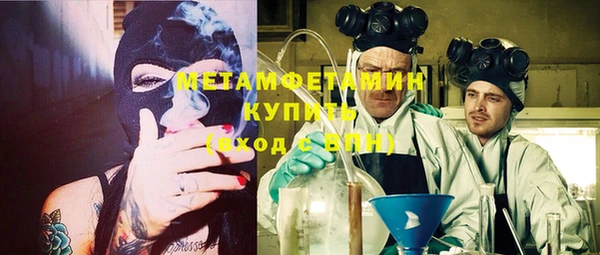 молекула духа Богданович