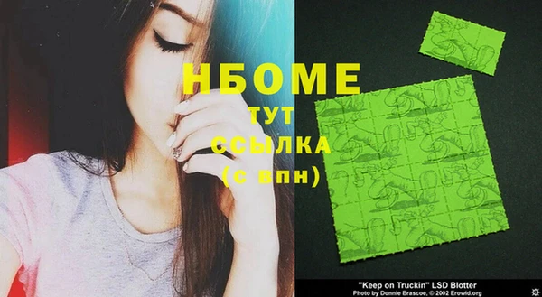 молекула духа Богданович