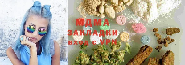 молекула духа Богданович
