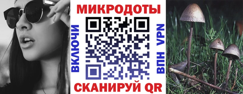 Купить где  Петрозаводск  Галлюциногенные грибы ЛСД 